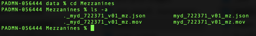 Invisible System Files