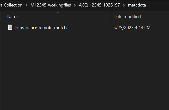 remote transfer metadata folder